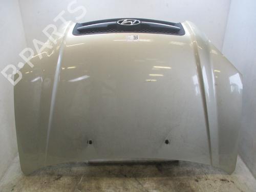 Used Hood HYUNDAI TUCSON (JM) 2.0 CRDi All-wheel Drive (113 hp) 27690169