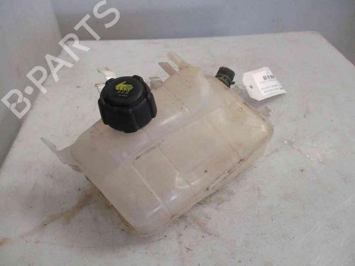 Expansion tank RENAULT MEGANE III Hatchback (BZ0/1_, B3_) 1.5 dCi (BZ0C) | BP20205286C120 