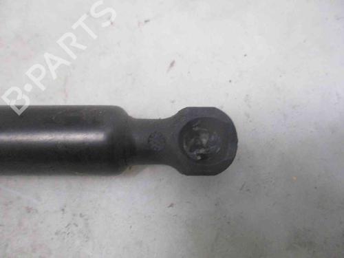 Tailgate lift support RENAULT CLIO IV (BH_) 1.5 dCi 75 | BP19735324C138 