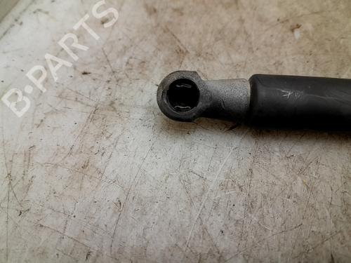 Tailgate lift support NISSAN QASHQAI / QASHQAI +2 I (J10, NJ10, JJ10E) 1.5 dCi | BP24971088C138 