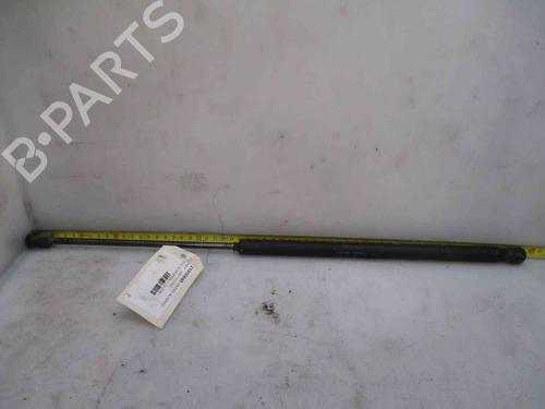 Used Tailgate lift support PEUGEOT 1007 (KM_) 1.4 HDi (68 hp) 19734939