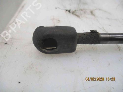Tailgate lift support FORD FUSION (JU_) 1.4 | BP19735181C138 