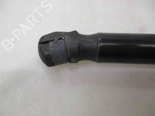 Tailgate lift support VW GOLF VI Variant (AJ5)  | BP26631375C138 