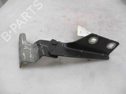 Used Hinge/Door check strap RENAULT MEGANE II (BM0/1_, CM0/1_) 1.9 dCi (131 hp) 19739213