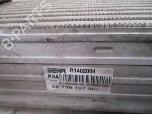 Intercooler PEUGEOT 3008 I MPV (0U_) 2.0 HDi 150 / BlueHDi 150 | BP24007716M30 