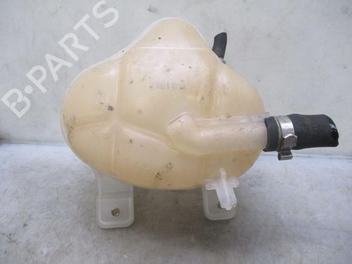 Expansion tank FIAT DOBLO Cargo (263_)  | BP26638402C120