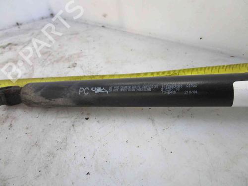 Tailgate lift support PEUGEOT 807 (EB_) 2.2 HDi | BP19734961C138 