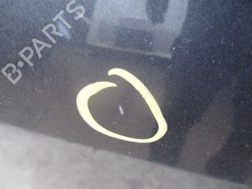 Right front door RENAULT SCÉNIC III (JZ0/1_) 1.9 dCi (JZ0J, JZ1J, JZ1K, JZ1S) | BP28828227C3 