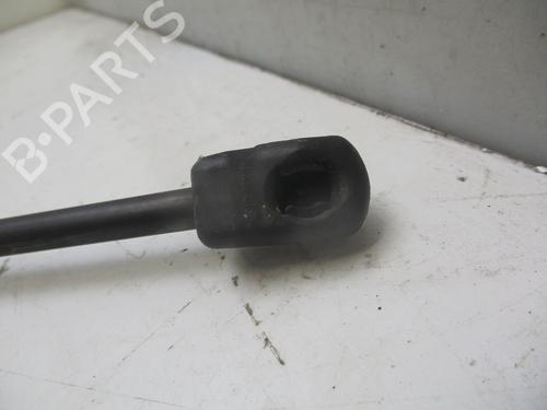 Tailgate lift support FORD C-MAX II (DXA/CB7, DXA/CEU) 1.0 EcoBoost | BP26635639C138 