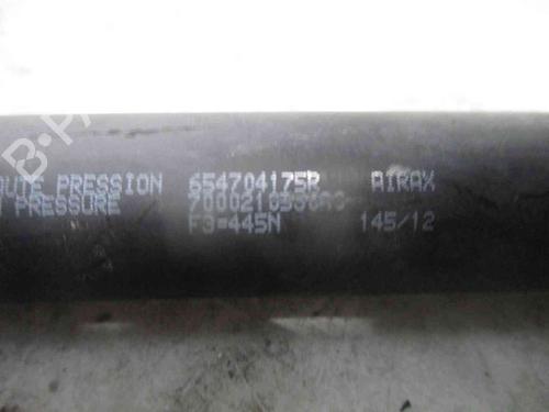 Hood lift support DACIA LODGY (JS_)  | BP26622394C139 