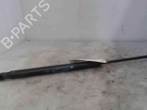 Tailgate lift support RENAULT MEGANE III Hatchback (BZ0/1_, B3_) 1.5 dCi | BP20202873C138 