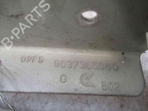Hinge/Door check strap CITROËN C3 I (FC_, FN_) 1.4 HDi | BP19717693C146 