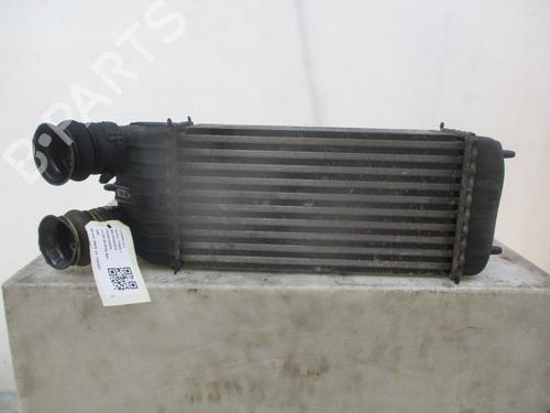 Intercooler CITROËN C3 II (SC_) 1.6 HDi 90 | BP30046542M30 