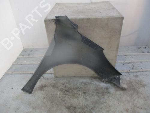 Left front fenders PEUGEOT 207 (WA_, WC_) 1.4 HDi | BP29642796C41 