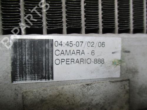 Water radiator RENAULT CLIO III (BR0/1, CR0/1) 1.4 16V | BP29263304M31 