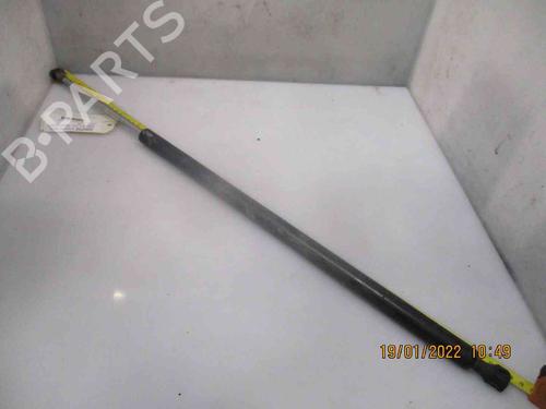 Used Tailgate lift support RENAULT ESPACE IV (JK0/1_) 2.0 dCi (JK01, JK02, JK1J, JK1K, JK1H) (150 hp) 19736388