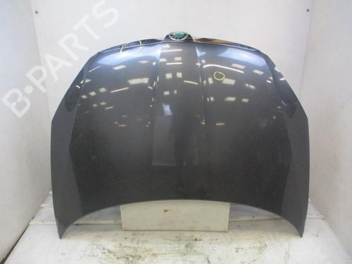 Used Hood SKODA FABIA II (542) 1.2 TDI (75 hp) 31795665