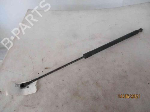 Tailgate lift support NISSAN X-TRAIL I (T30) 2.2 dCi 4x4 | BP19738696C138 