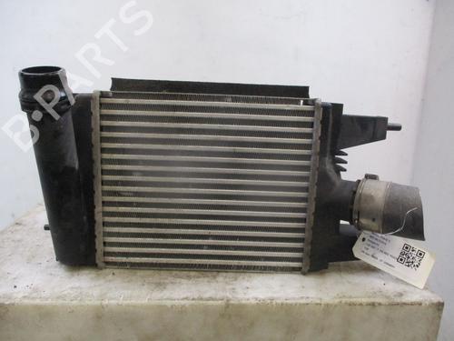 Used Intercooler NISSAN JUKE (F15) 1.2 DIG-T (115 hp) 30915527