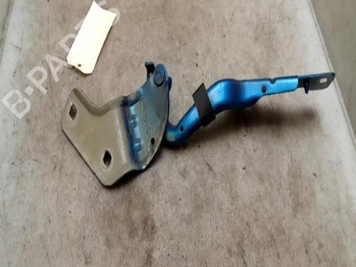 Used Hinge/Door check strap RENAULT CLIO III (BR0/1, CR0/1) 1.4 16V (98 hp) 26637538
