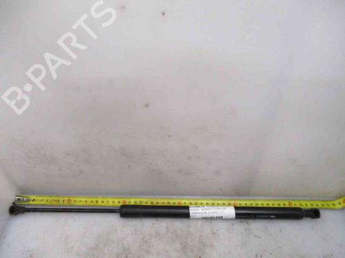 Gassdemper Bakluke RENAULT MODUS / GRAND MODUS (F/JP0_) 1.5 dCi (FP0E, JP0E) (65 hp) 20508781