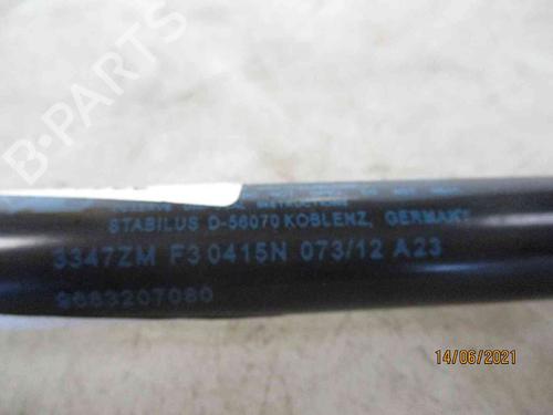 Tailgate lift support PEUGEOT 3008 I MPV (0U_) 1.6 HDi | BP19739637C138 