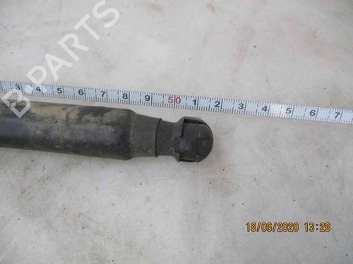 Tailgate lift support FIAT BRAVO II (198_) 1.6 D Multijet (198AXL1B) | BP26622487C138 