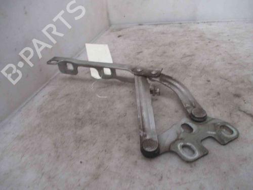 Hinge/Door check strap OPEL CORSA D (S07) 1.0 (L08, L68) | BP19714425C146 
