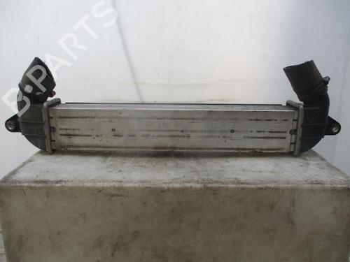 Intercooler FIAT DOBLO Box Body/MPV (223_) 1.3 D Multijet | BP28800720M30