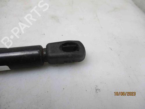 Hood lift support BMW 5 (F10) 520 d | BP26625027C139 