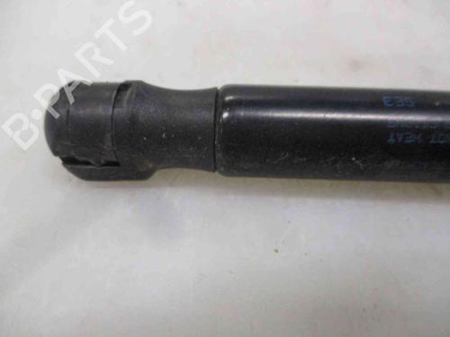 Tailgate lift support VW SCIROCCO III (137, 138) 2.0 TDI | BP26631192C138