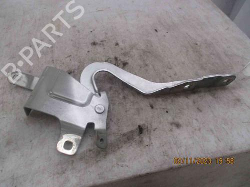 Hinge/Door check strap RENAULT CLIO IV (BH_) 1.5 dCi 90 | BP26631651C146 