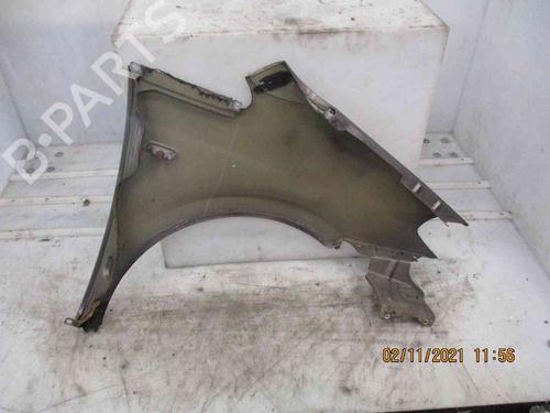 Left front fenders LANCIA MUSA (350_) 1.3 D Multijet (350.AXM11, 350.AXM1A, 350.AXI1A) | BP19738830C41 