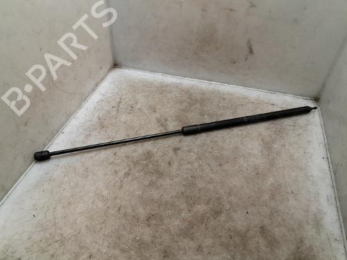 Used Hood lift support RENAULT MEGANE III Hatchback (BZ0/1_, B3_) 1.5 dCi (BZ09, BZ0D, BZ1W, BZ29, BZ14) (110 hp) 24014542