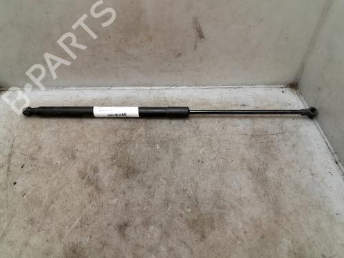 Used Tailgate lift support NISSAN QASHQAI / QASHQAI +2 I (J10, NJ10, JJ10E) 1.5 dCi (110 hp) 24971704