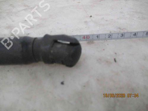 Tailgate lift support KIA PICANTO II (TA) 1.0 | BP19734887C138 