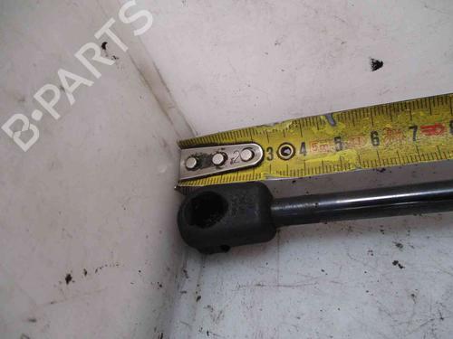 Tailgate lift support CITROËN C2 (JM_) 1.4 HDi | BP19734932C138 