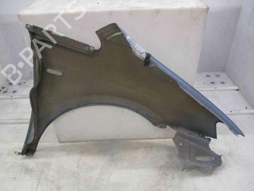 Left front fenders FIAT IDEA (350_) 1.4 16V | BP19713274C41 