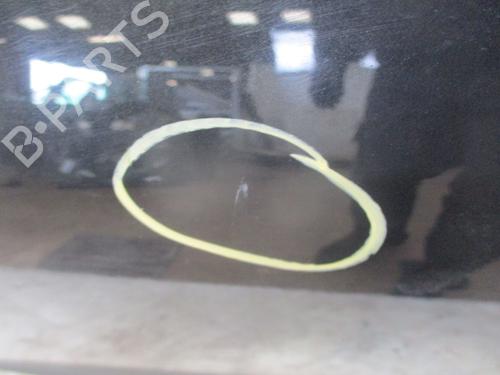 Left front door RENAULT MEGANE III Hatchback (BZ0/1_, B3_) 1.5 dCi | BP25019570C2