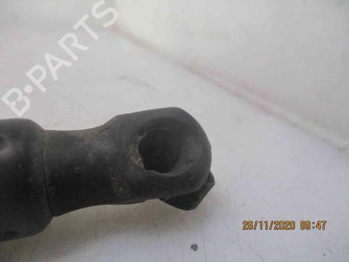 Tailgate lift support OPEL ZAFIRA / ZAFIRA FAMILY B (A05) 1.9 CDTI (M75) | BP26622313C138 