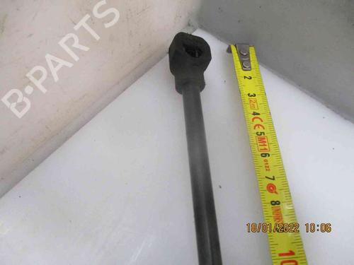 Tailgate lift support RENAULT ZOE (BFM_) ZOE | BP19734908C138