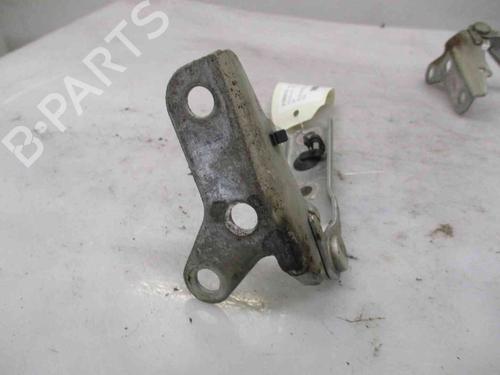 Hinge/Door check strap VW POLO (9N_, 9A_) 1.2 | BP19719316C146 