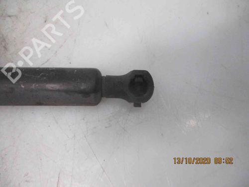 Tailgate lift support RENAULT LAGUNA II Grandtour (KG0/1_) 1.9 dCI (KG0E) | BP19734806C138 