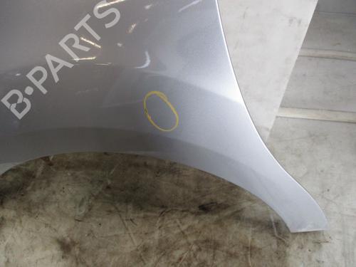 Left front fenders CITROËN C3 II (SC_) 1.4 | BP30116719C41 