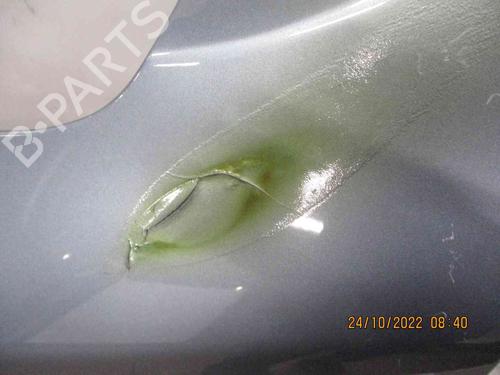 Left front fenders SKODA OCTAVIA II (1Z3) 1.6 | BP26626553C41 