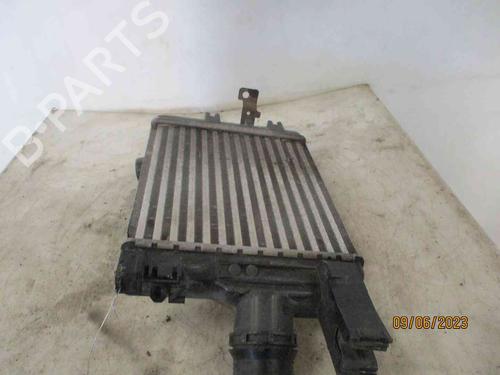 Intercooler DACIA SANDERO II TCe 90 (B8M1, B8MA, B8AC) | BP26628879M30
