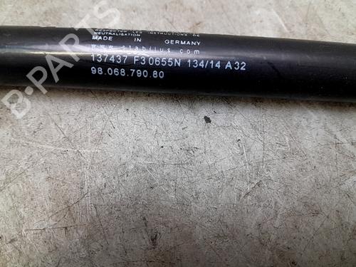 Tailgate lift support CITROËN C4 Picasso II 1.6 HDi / BlueHDi 115 | BP26638424C138 