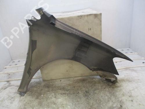 Błotnik przedni lewy VW POLO V (6R1, 6C1) 1.6 TDI | BP29871454C41 