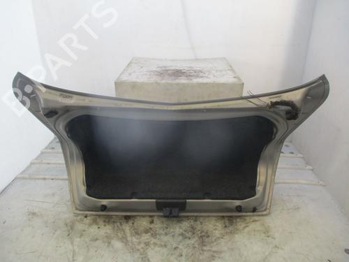 Tailgate RENAULT MEGANE II (BM0/1_, CM0/1_)  | BP29984660C6 