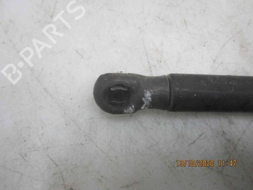 Tailgate lift support SEAT ALTEA (5P1)  | BP19735288C138 